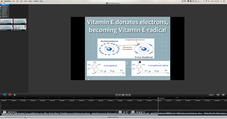 Example screen shot of Camtasia™ video software. The timeline runs along the bottom, and once a presentation is recorded, the user can do multiple types of cropping, highlighting and editing.