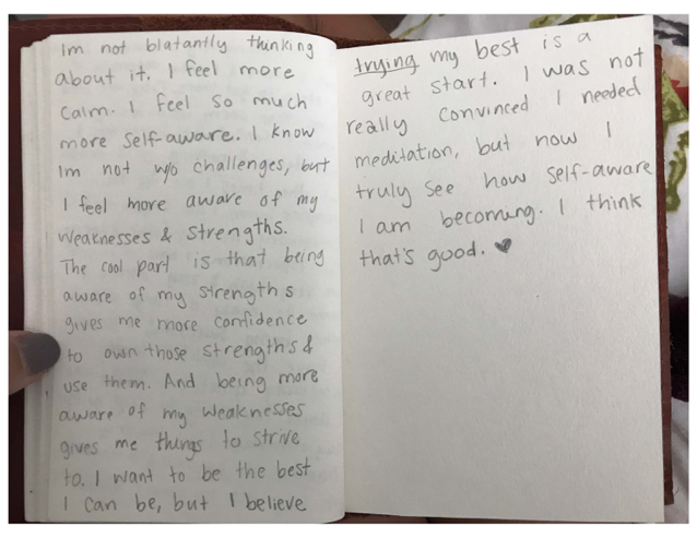 Sample photo of a students Insight Journal