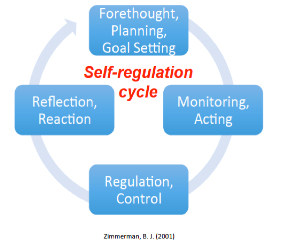 Figure 2: Self Regulation Cycle
