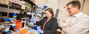 Researchers Working in Lab